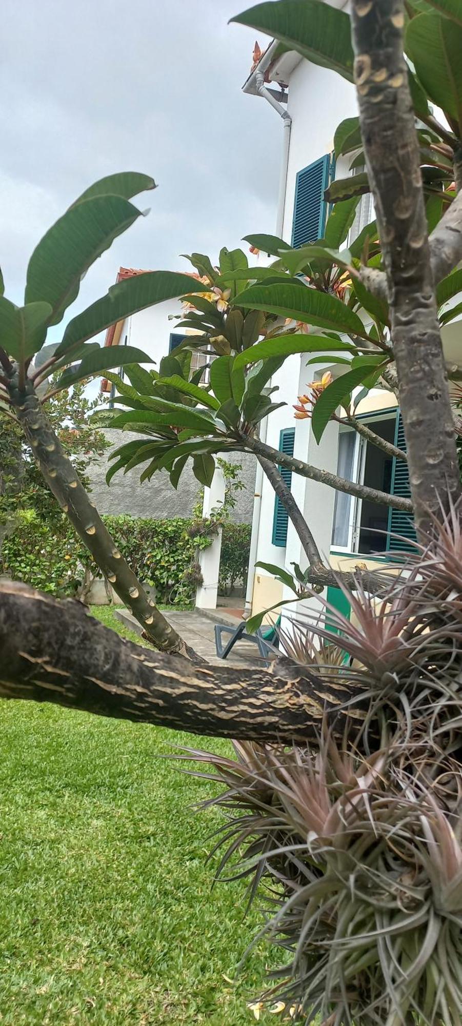 Villa Cosy Nook Funchal  Extérieur photo
